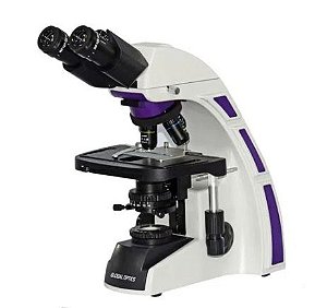 Microscopio Binocular Otica Finita Acromatico Led Aumento 1600x Revólver 5 Objetivas - Global