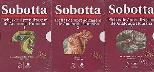 Sobotta Fichas de Aprendizagem de Anatomia Humana