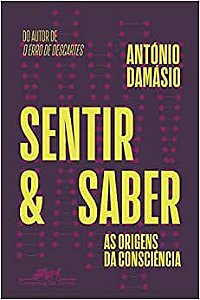 Sentir e saber: As origens da consciência