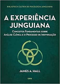 A experiência junguiana: Conceitos fundamentais sobre análise clínica e o processo de individuação