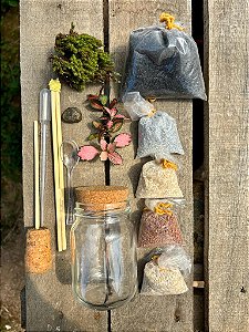 KIT FAÇA VOCÊ MESMO SEU TERRÁRIO - Olívia