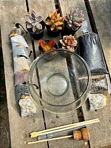 Kit faça você mesmo terrário de suculentas (tamanho P)
