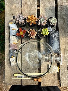 Kit faça você mesmo terrário de suculentas (tamanho M)