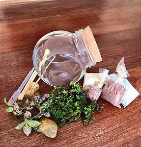 Kit faça você mesmo seu Terrário - Lado