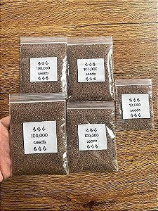 1000 SEMENTES GYMNOCALYCIUM VARIEGATAS