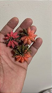 15 CACTOS GYMNOCALYCIUM MIHANOVICHII VARIEGATA MIX