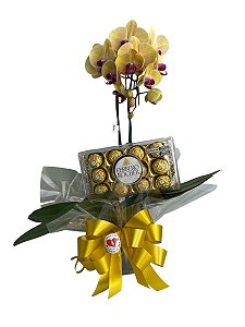 Orquídea Phaleanopolis com Ferrero Rocher