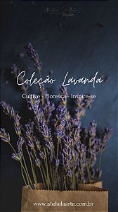 Coleção Lavanda