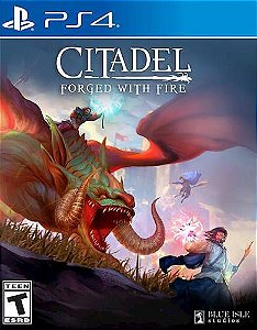 Citadel: Forged with Fire - PS4
