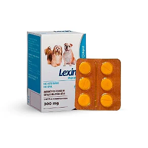 Lexin 300mg com 6 Comprimidos