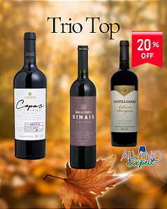 Kit de Outono Trio Top