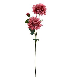 GALHO DE DALIA-MARSALA EQ-0024MS