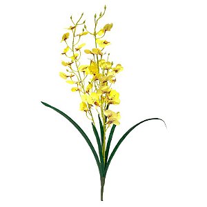 GALHO CHUVA DE OURO CR-0088