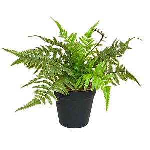 ARRANJO DE SAMAMBAIA FF-0028