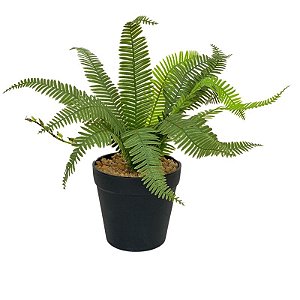 ARRANJO DE SAMAMBAIA FF-0031