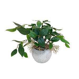 ARRANJO DE FICUS FF-0034