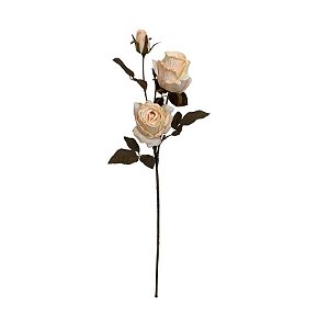 GALHO DE ROSA OUTONADA CHAMPANHE BC-0029CH