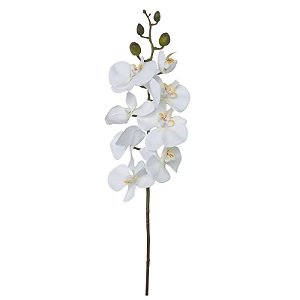 GALHO DE ORQUIDEA DM-0004