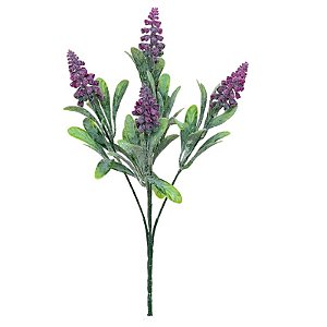 BUQUE BOCA LEÃO CD-0090