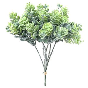 PICK SUCULENTA CD-0073