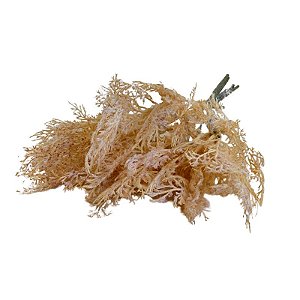 BUQUE CORAL AMARELO CD-0117AM