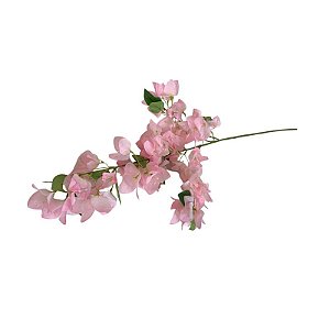 GALHO BOUGAINVILLE ROSA FI-0001RS