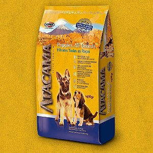 Atacama Puppies