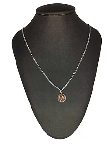 Colar Corrente Barbie Medalha em Aço Inoxidável 45cm