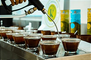 Curso Avançado de cafés especiais