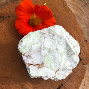 Crisoprásio Pedra Bruta - Perdão, Compaixão, Conexão Com a Natureza