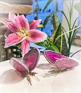 Borboleta de Chapa De Ágata - Cor rosa