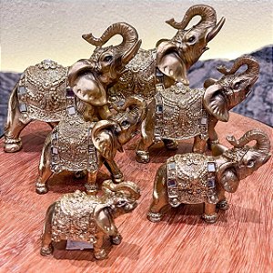 Elefantes Dourado escolha o tamanho