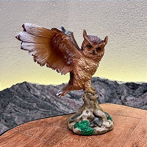 Coruja de asas abertas