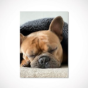 Foto Placa Decorativa MDF 30x40cm