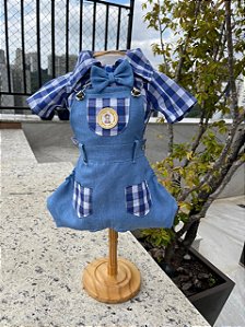 Jardineira xadrez com camisa azul.