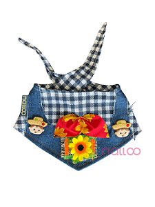 Bandana junina macho