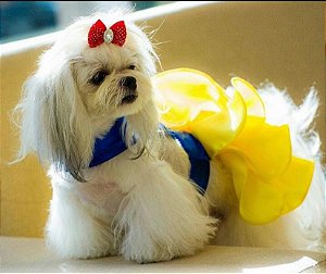 VESTIDO BRANCA DE NEVE SAIA BABADO