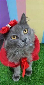 BOLERO VERMELHO