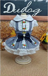 VESTIDO FAZENDEIRA XADREZ AZUL