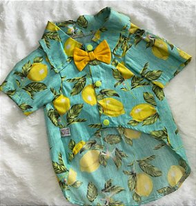 camisa limão