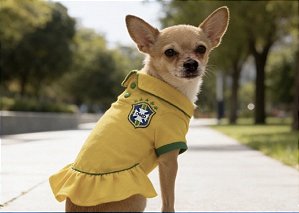 Vestido polo Brasil pré venda