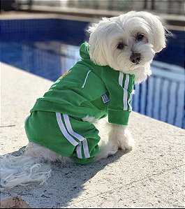 Esportivo 4 patas