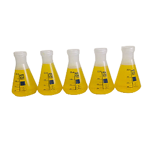 Frasco Erlenmeyer PP com Tampa 125 ml - Nalgon