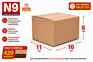 Caixa de Papelão N9 - 16X11X06