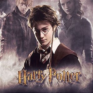 Quadro Harry Potter - GK3 30x30