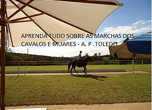CURSO - DOMINE AS MARCHAS DOS CAVALOS E MUARES