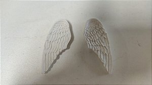 RESINA PAR DE ASAS DE ANJOS