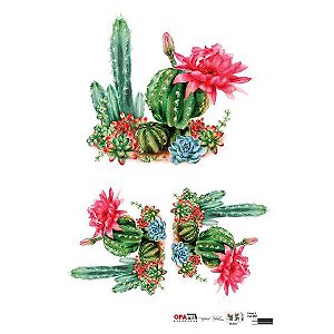 OPAPEL 30X45 - PLANTAS E CACTOS I