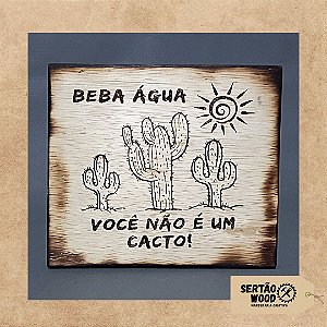 Placa Decorativa Beba Água