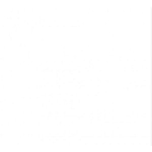 PORC.ELIZ.WHITE NAT.ESC.HD 101X101 CX  2,02